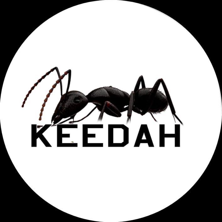 WhatsApp Image 2024-09-25 at 20.26.18_a3e556f6